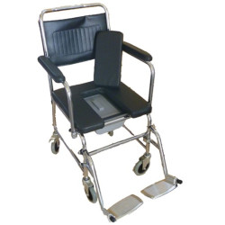 ΑΜΑΞΙΔΙΟ ΤΡΟΧΗΛΑΤΟ ΤΟΥΑΛΕΤΑ ΜΕ ΡΟΔΕΣ 09-2-014